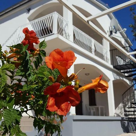 Apartments Merion Starigrad Paklenica Exteriér fotografie